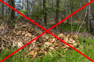 Gartenabfall nicht im Wald deponieren